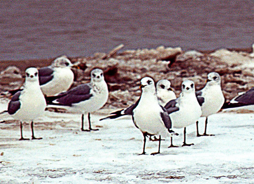 Listen to me all carefully / Слушайте все меня внимательно
