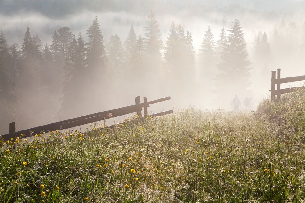 На полонину