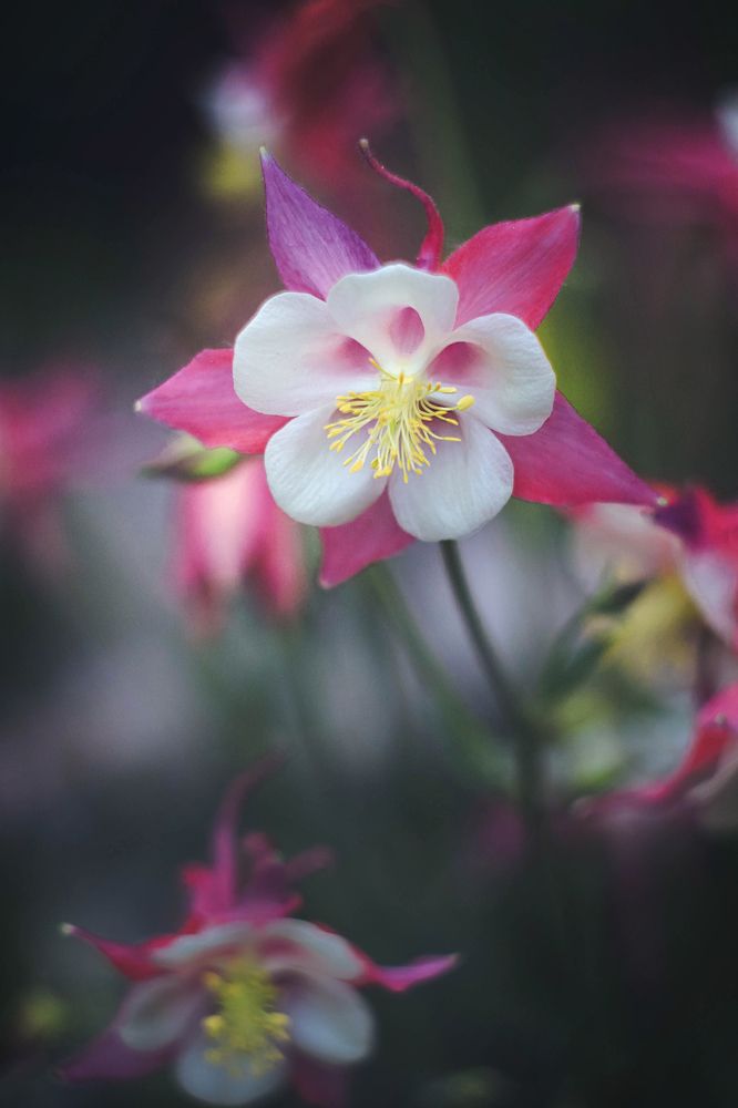 Photograph by Мария Бузыцкая