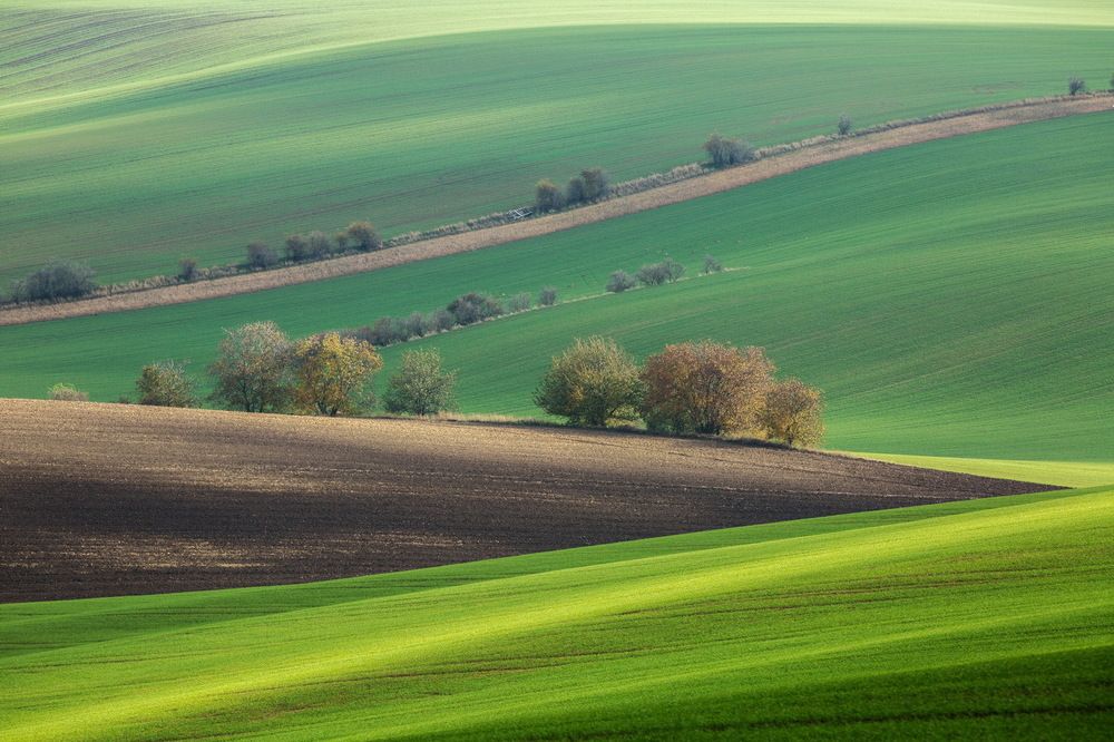 Краски Южной Моравии