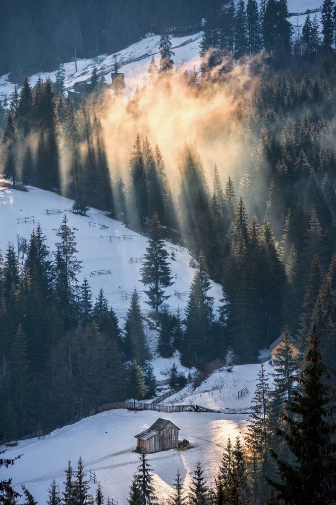 Photograph by Olari Ionut