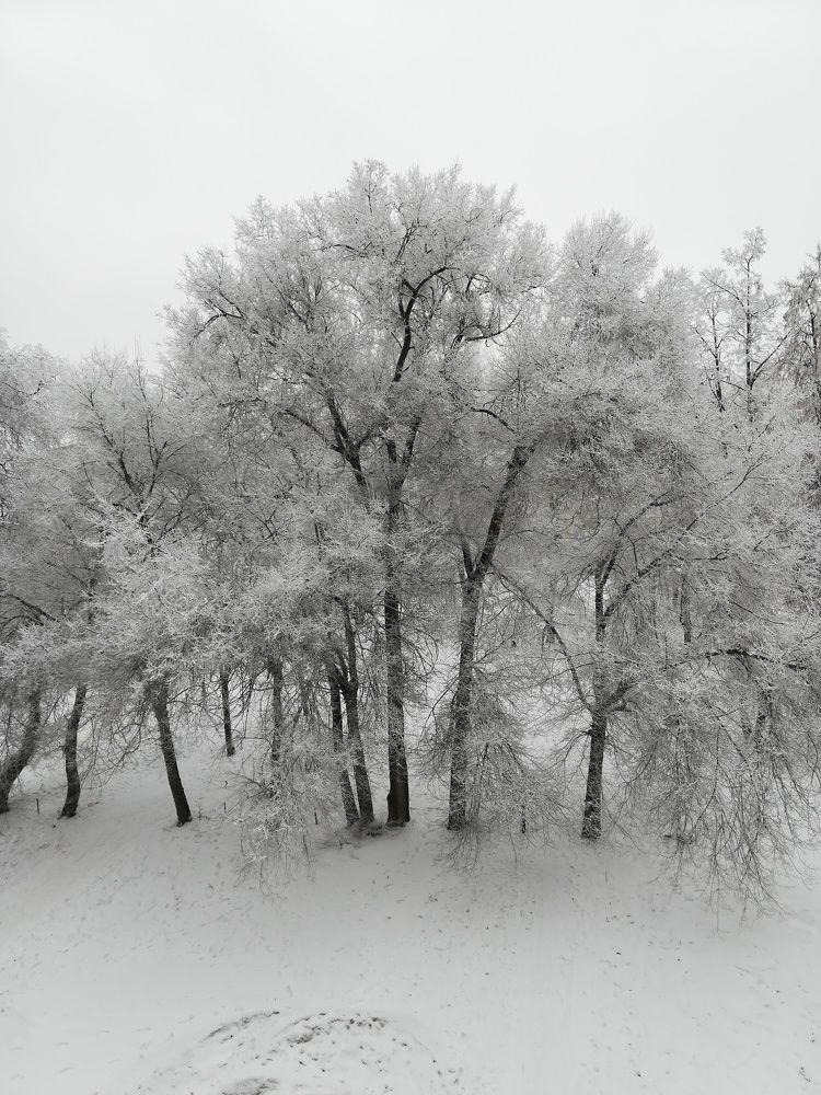 Начало зимы