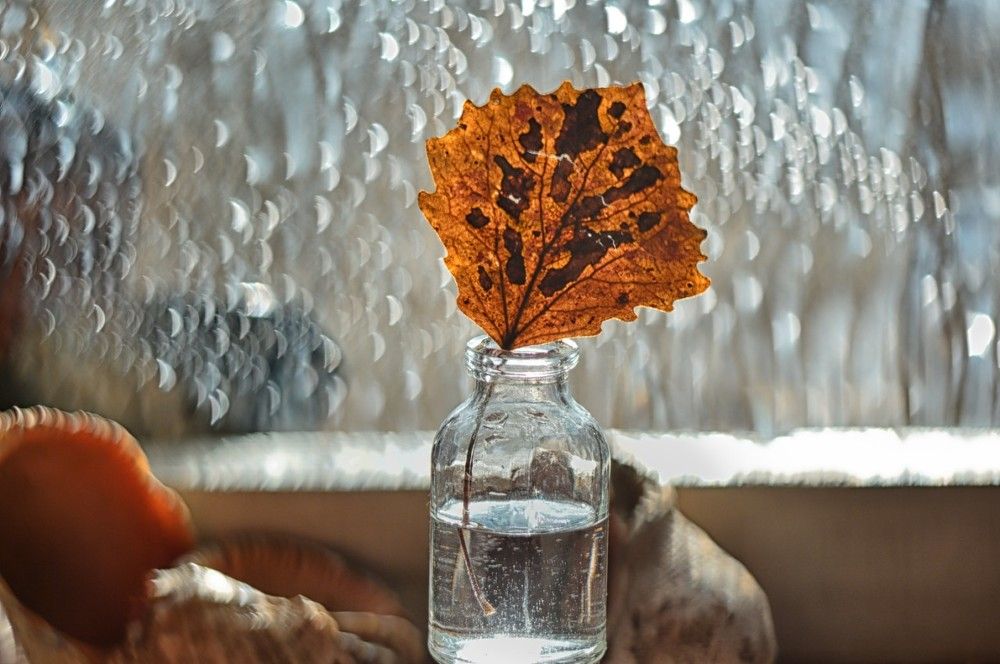 Осенний натюрморт