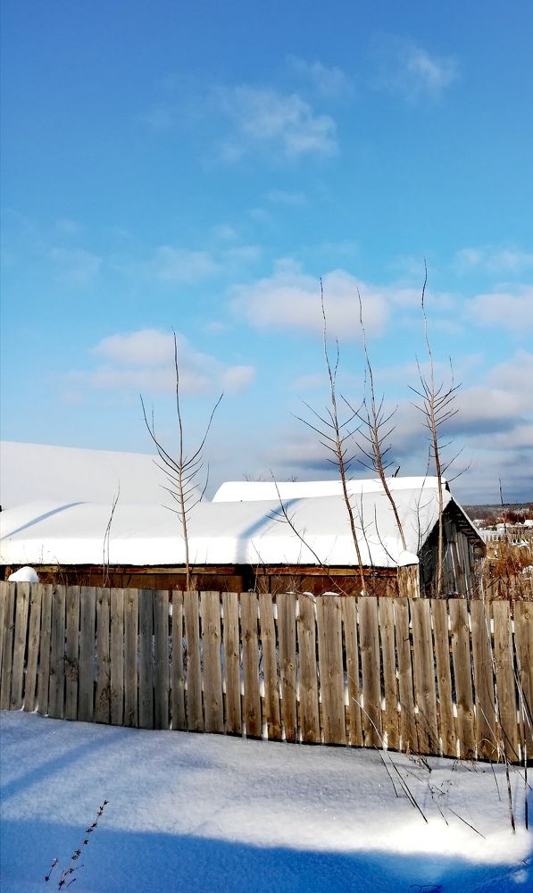 Мороз и солнце