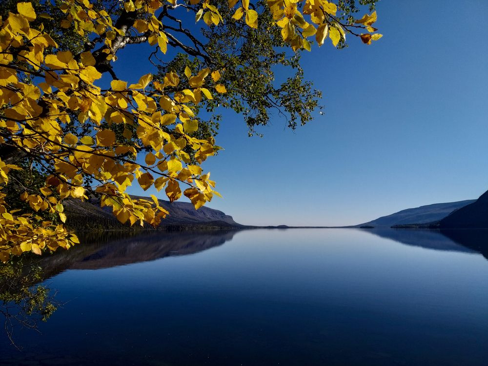 Утро на Сейдозере