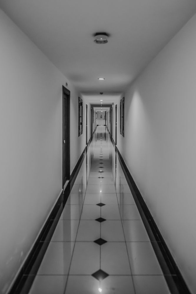 Долгий путь домой...