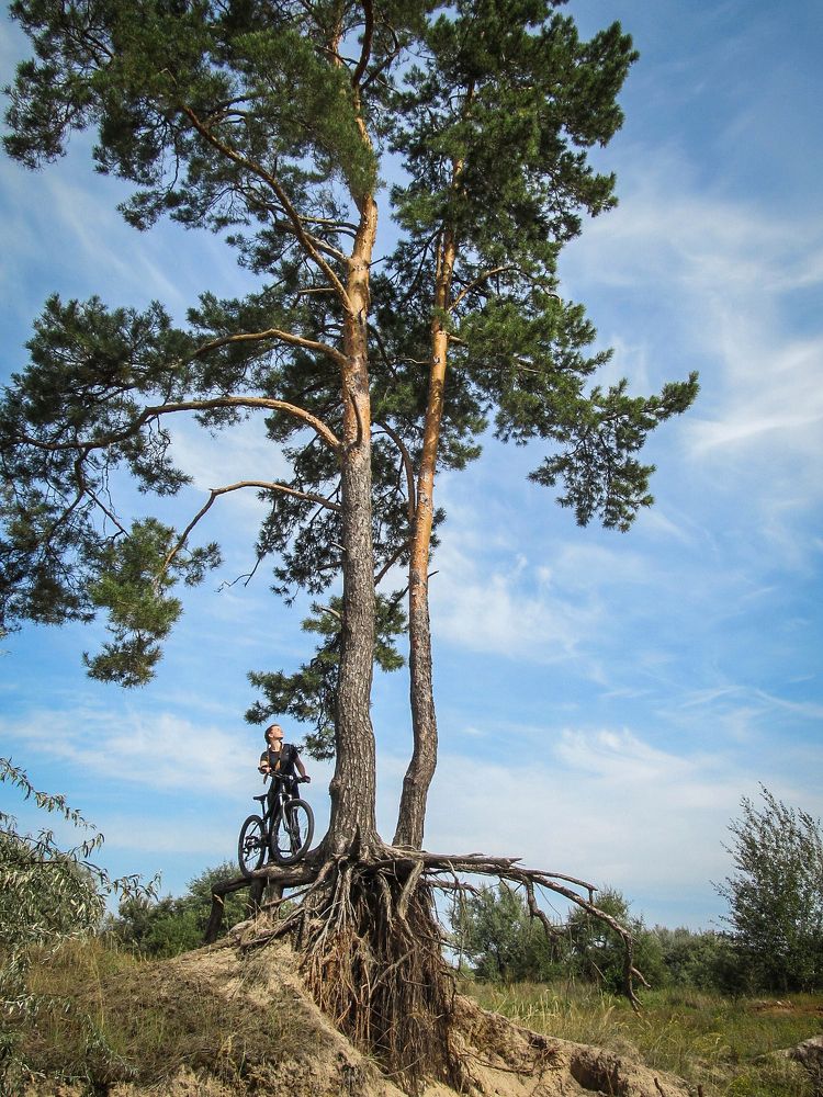 Жизнь - песок
