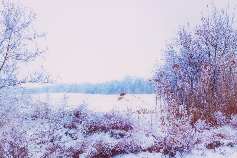 Photograph by Светлана Чужданова