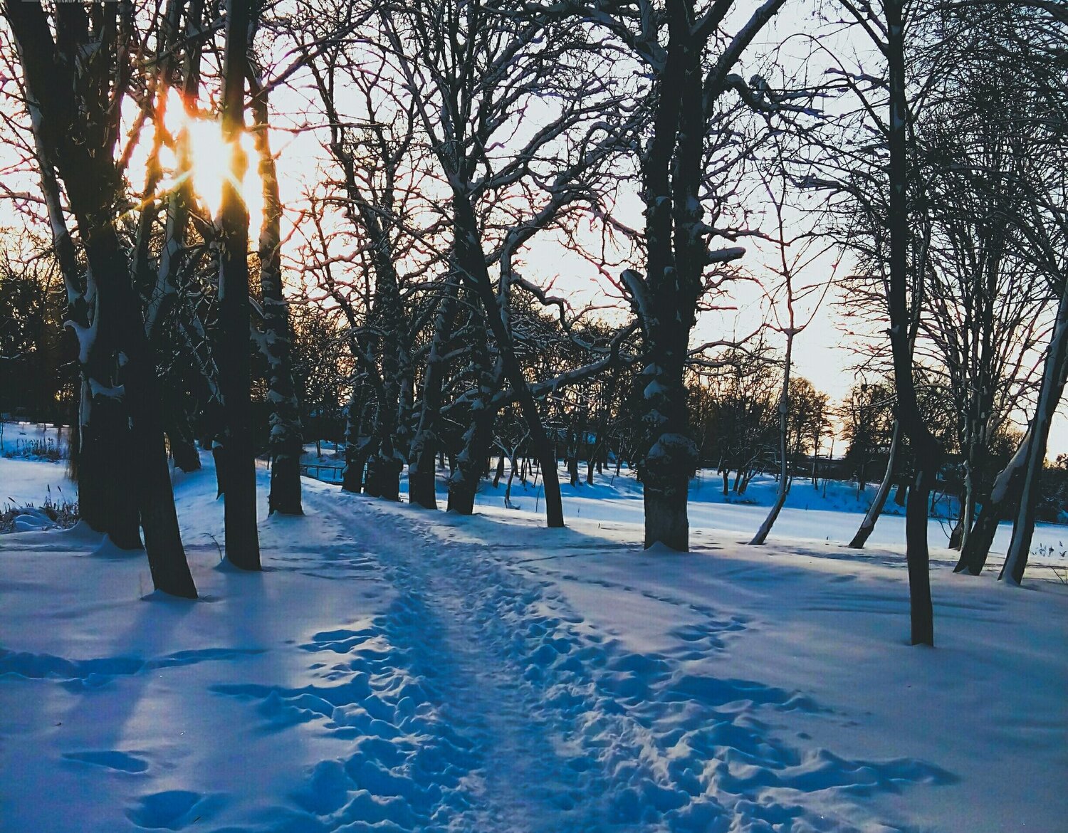 Зимове чудо