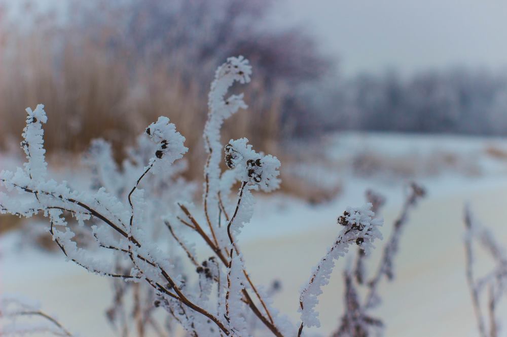 Photograph by Светлана Чужданова