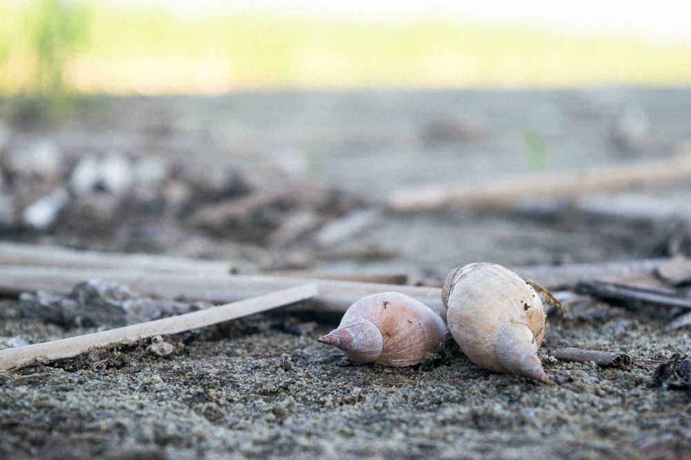 Photograph by Дмитрий Свинцов