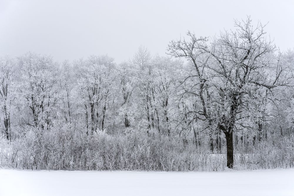 Photograph by Игорь Кляхин