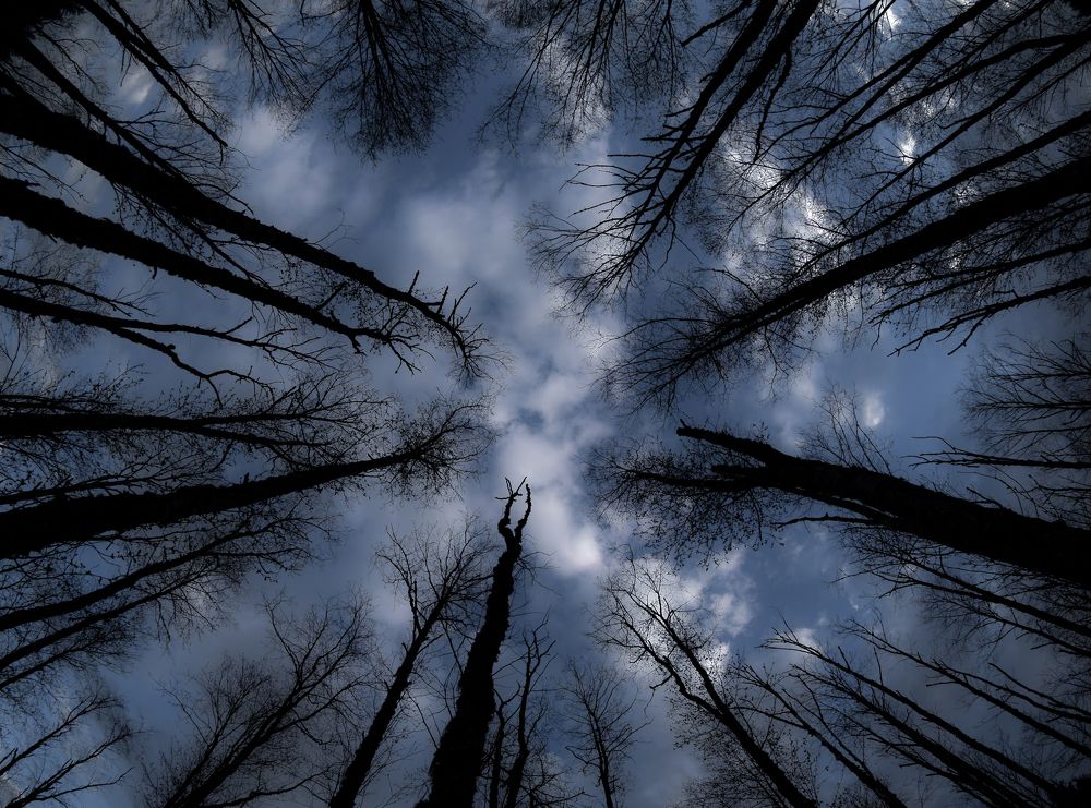 Photograph by marian badaluta