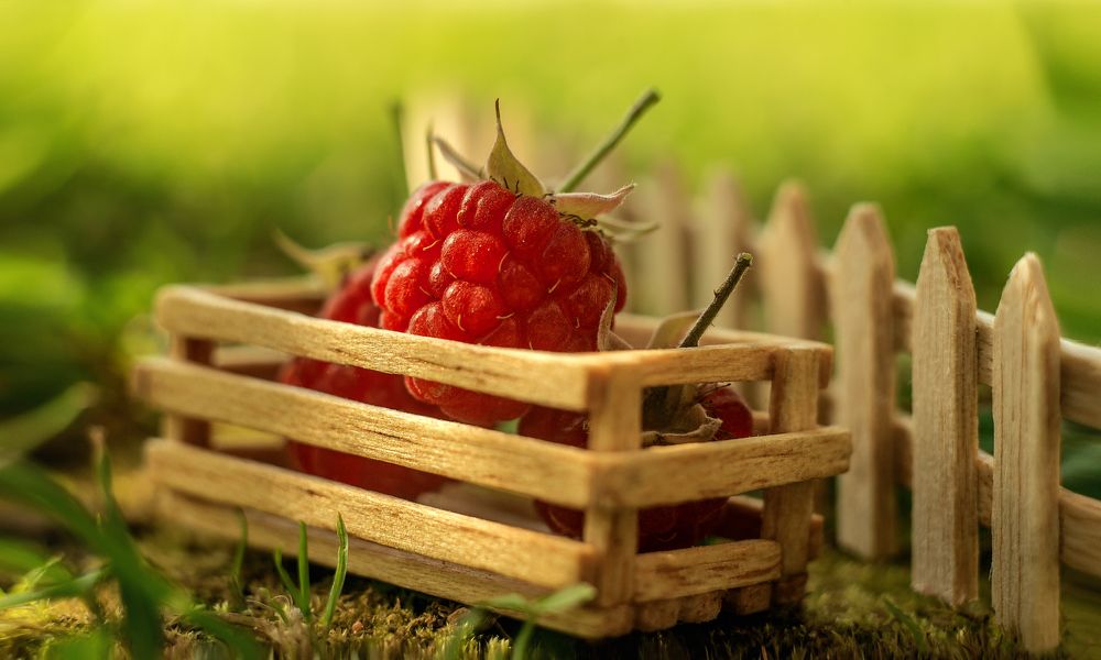 Photograph by Andrey Rut