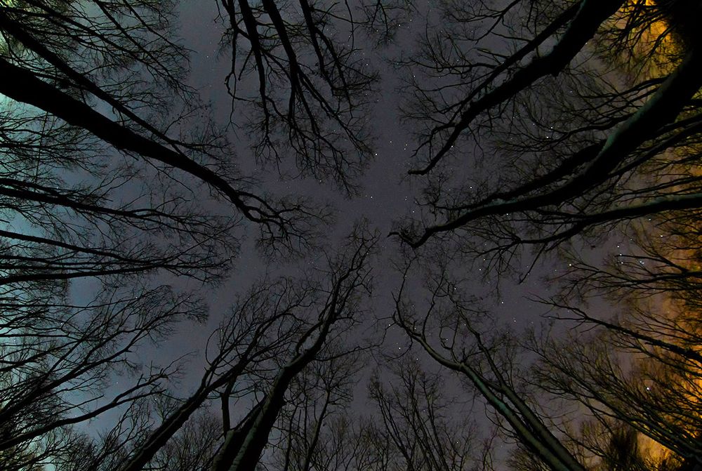 Северо-южный полюс.