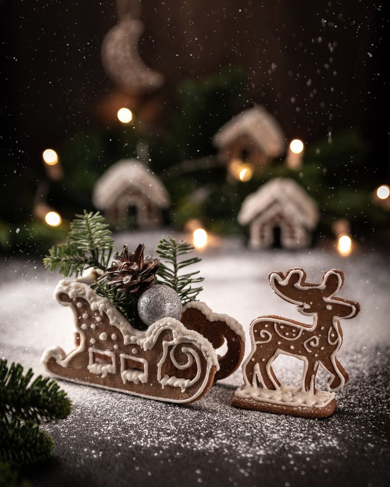 Волшебные сани