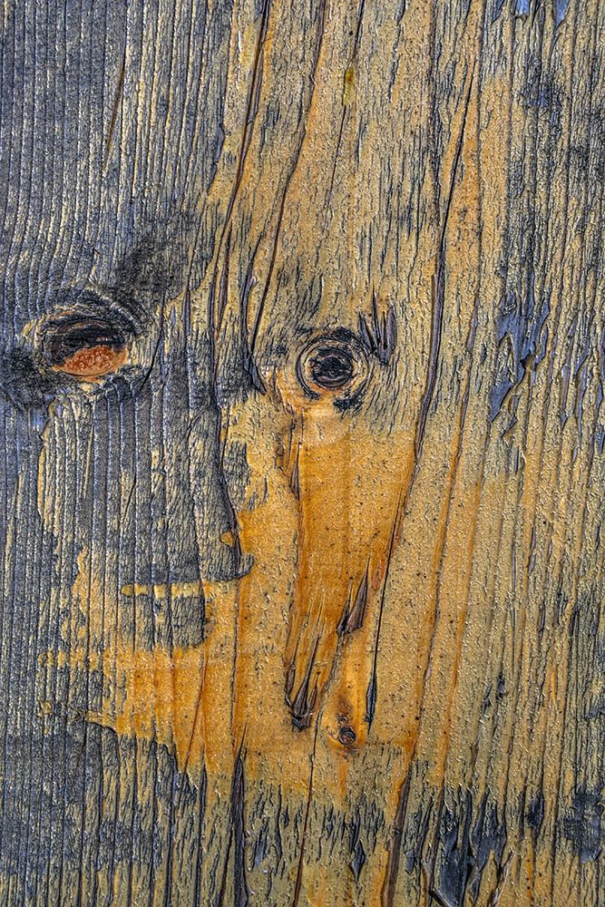 The dark and bright side of the man