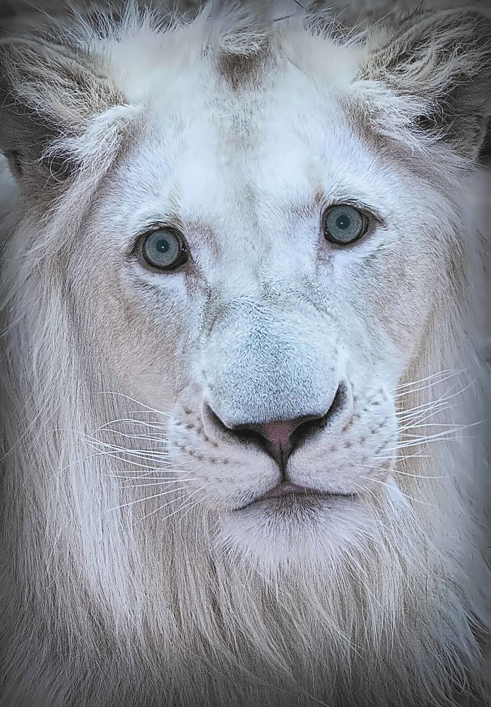 Photograph by Владимир Зорькин