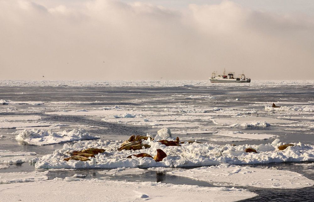 -улыбаемся!...но не машем..