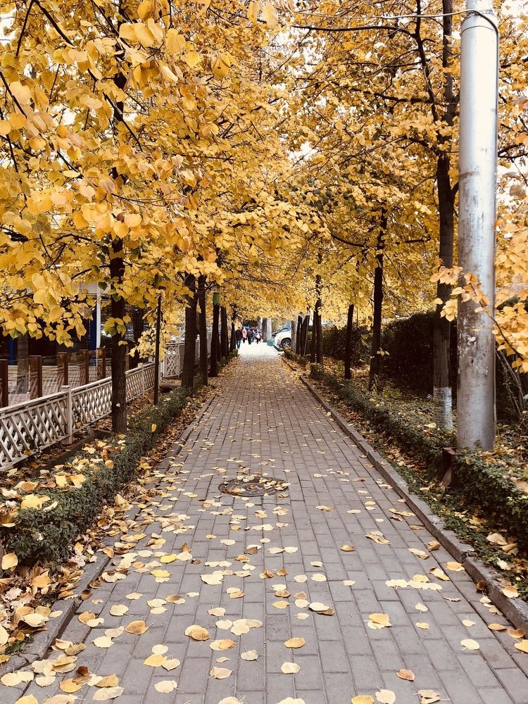 Золото