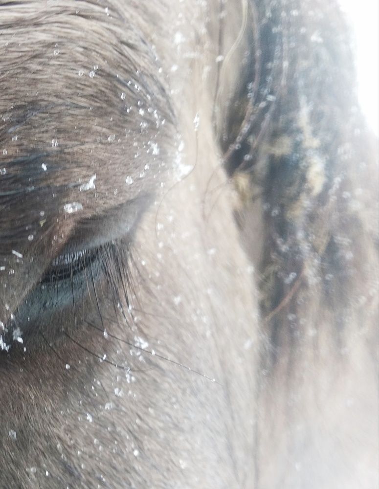 The sound of silence