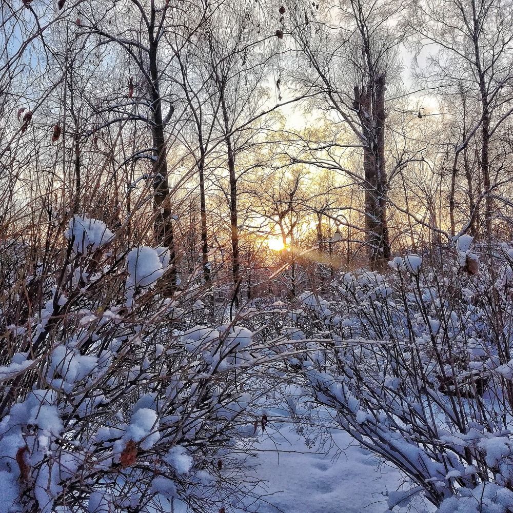 Зимний будний день