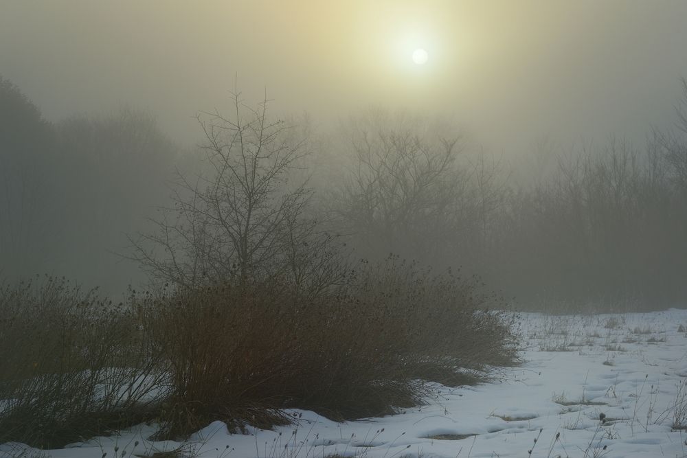 Туманный рассвет