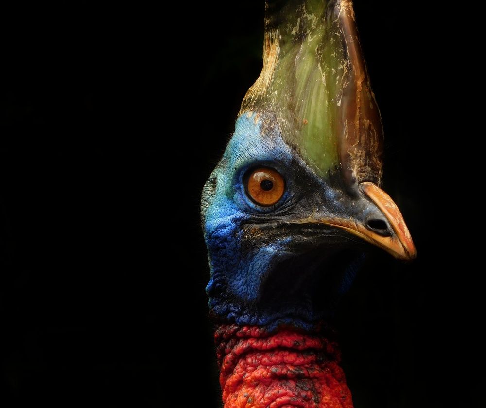 Looking For Something