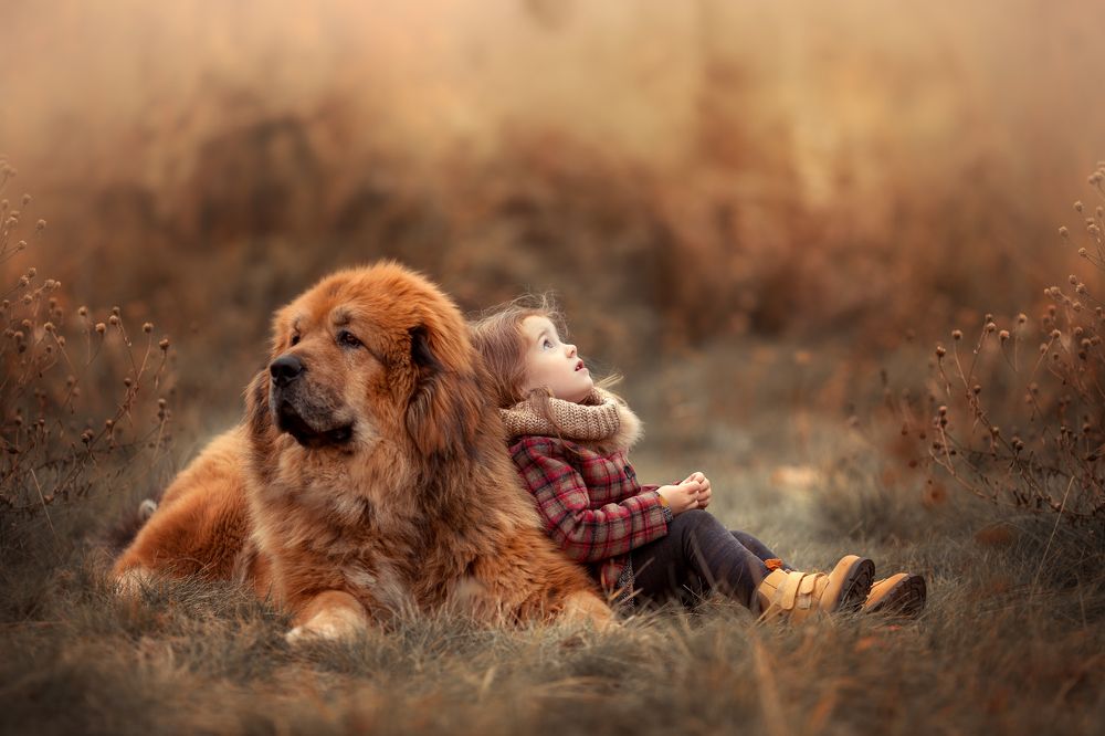 Мой большой друг!