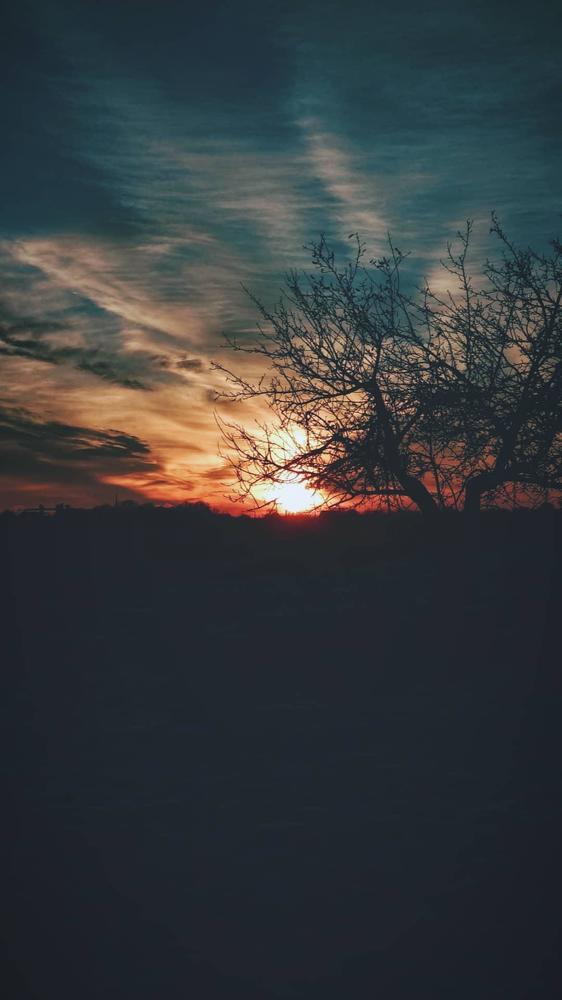 Photograph by Дмитрий Ткачук