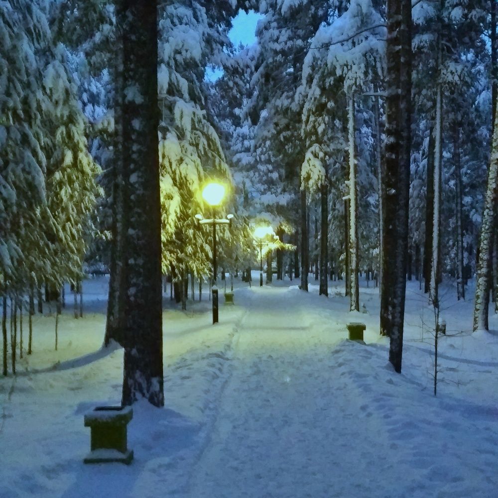 Ночная аллея