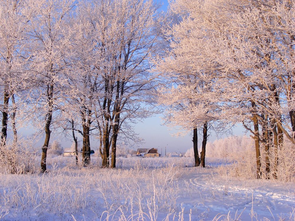 Пейзаж. Зимнее утро