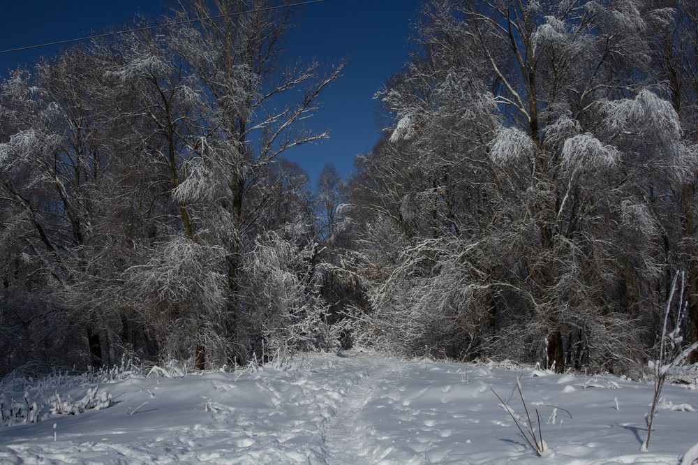 Photograph by Anna Novak