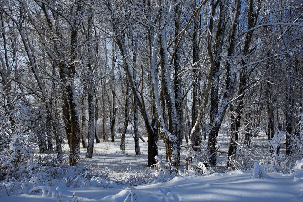 Photograph by Anna Novak