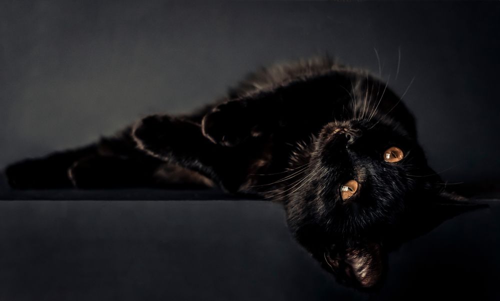 Photograph by Диана Иванова