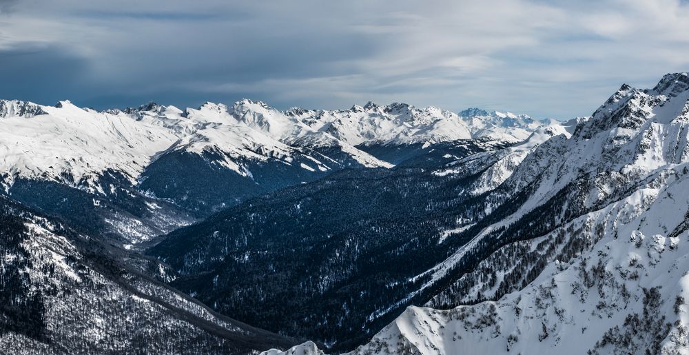 Photograph by Артем Зубарев