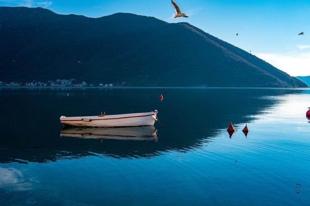 From Montenegro with love