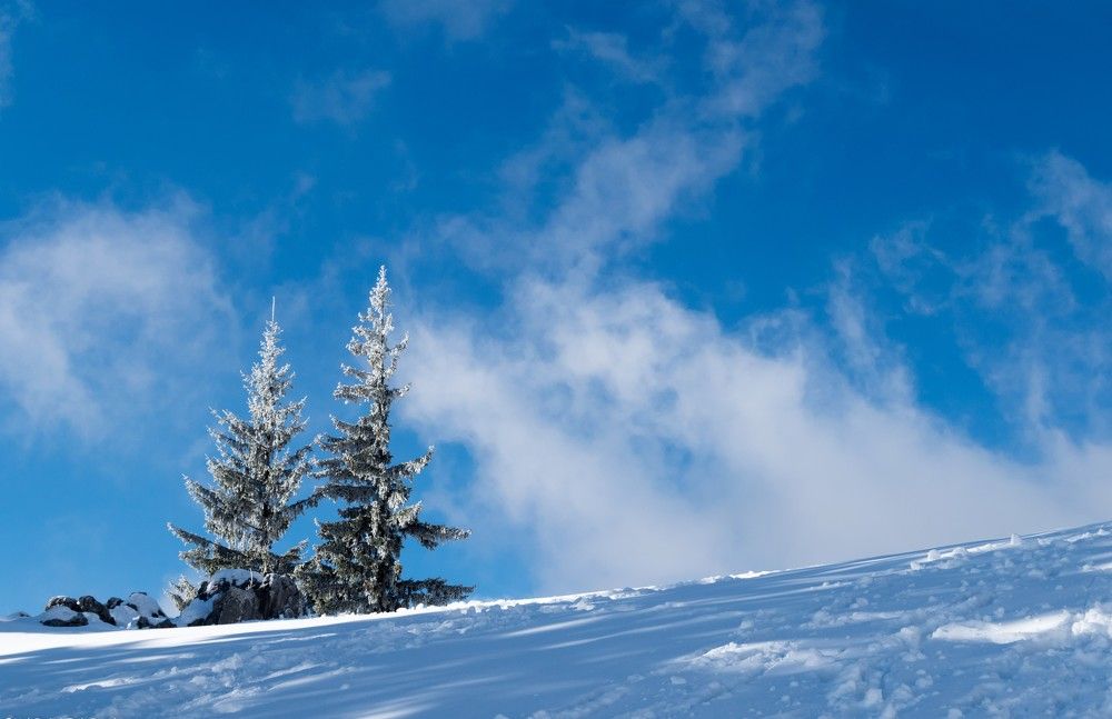 Фотография автора Libardi Gino
