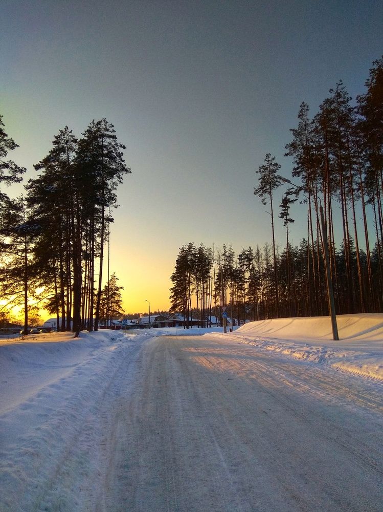 Закат в лесу