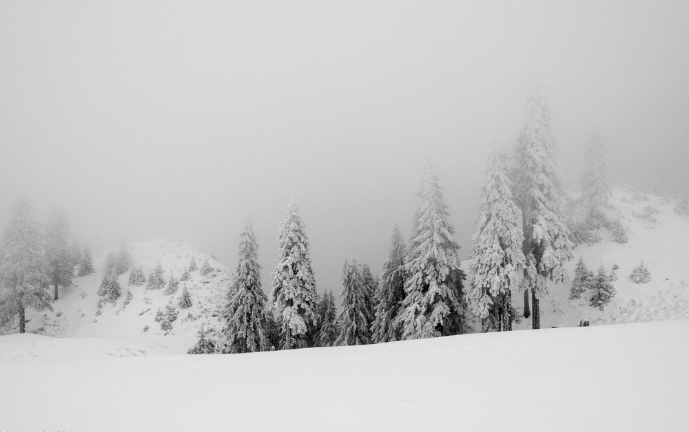 Фотография автора Libardi Gino