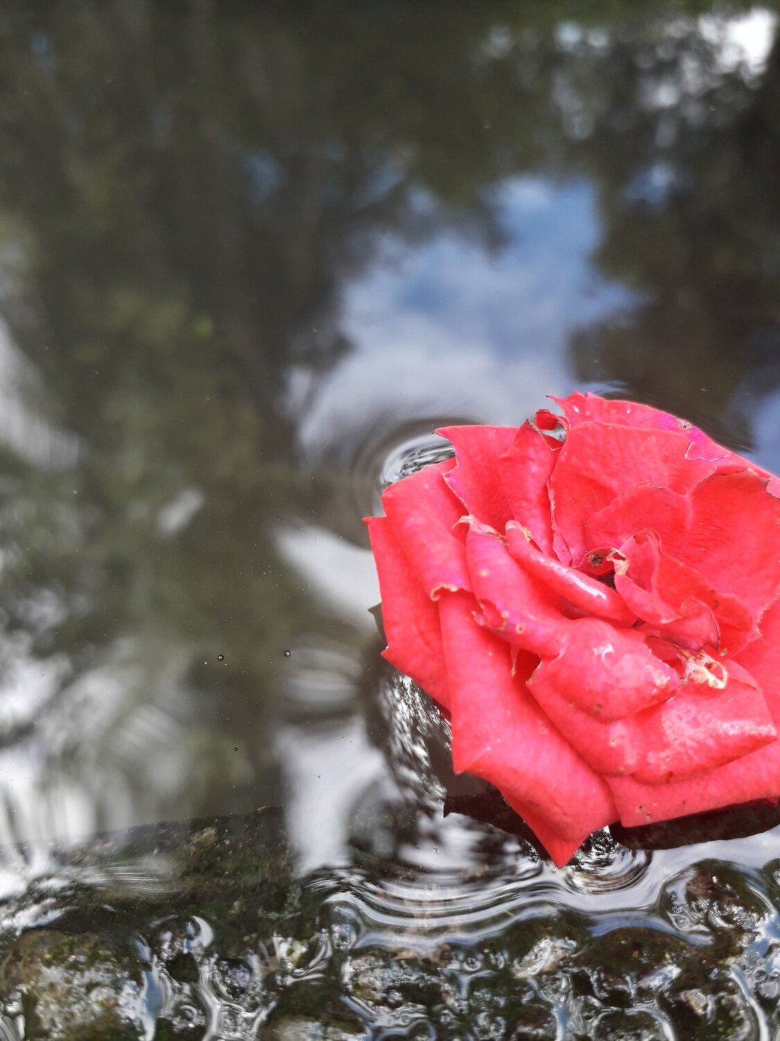 Red water