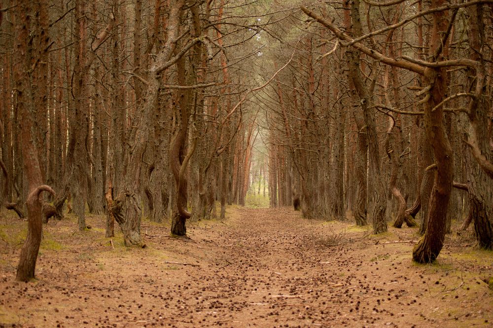 Photograph by Наталья Помазкина