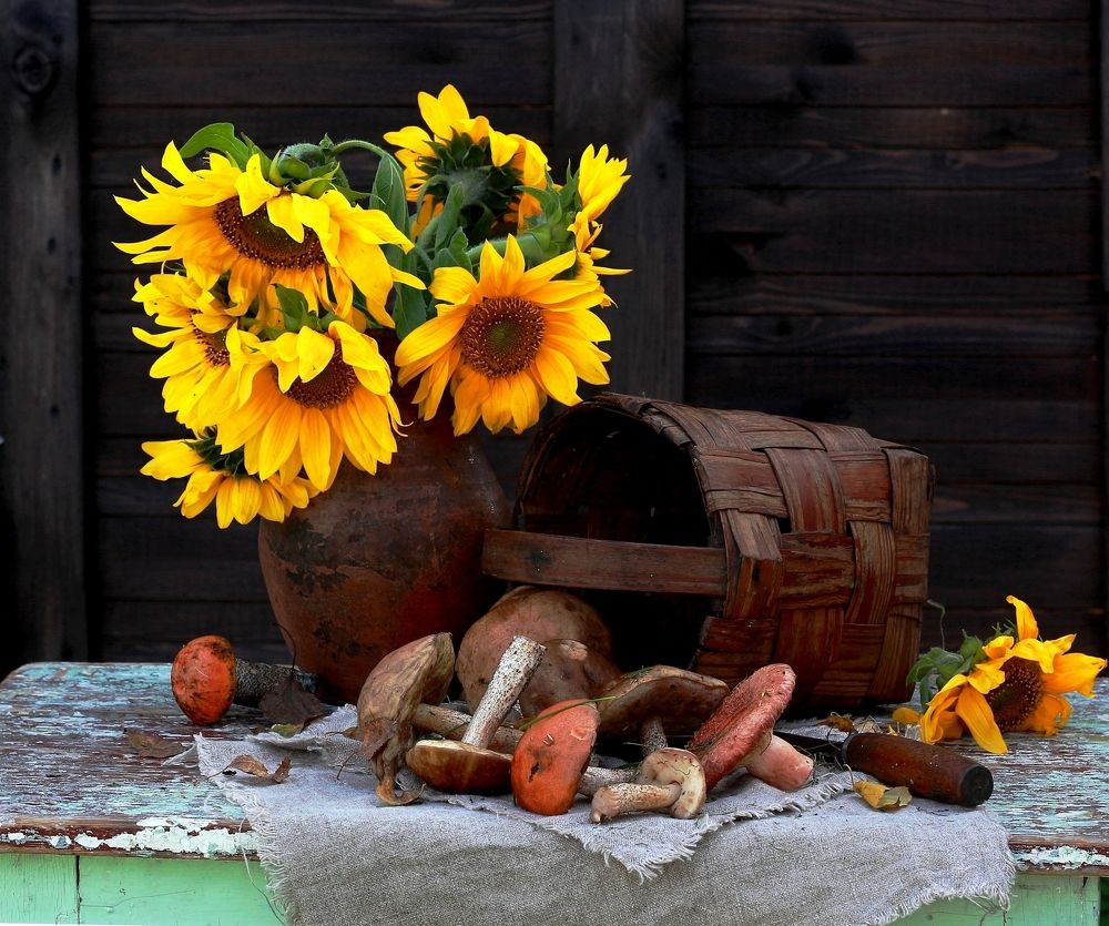 Из лесу, вестимо!