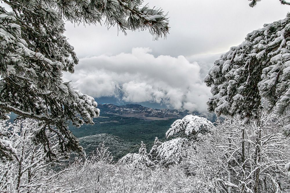 Зимний вид из окна Создателя
