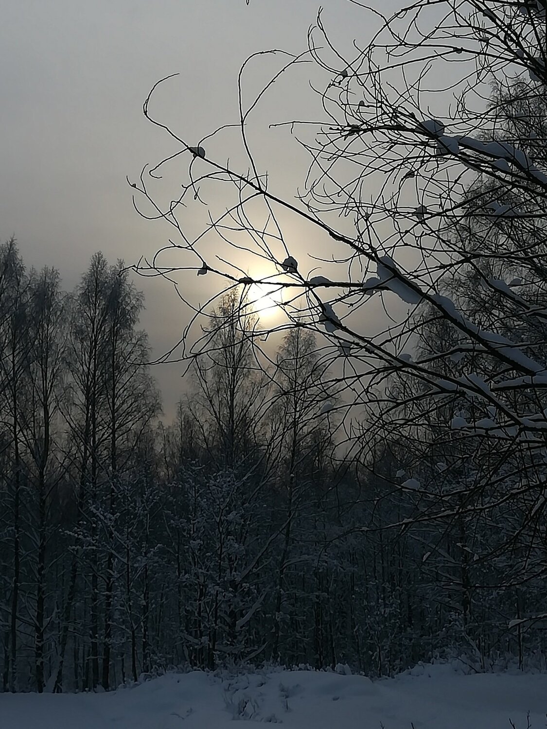Photo #2938928