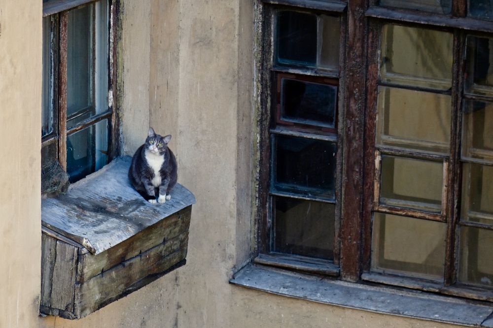 Двор на Фонтанке