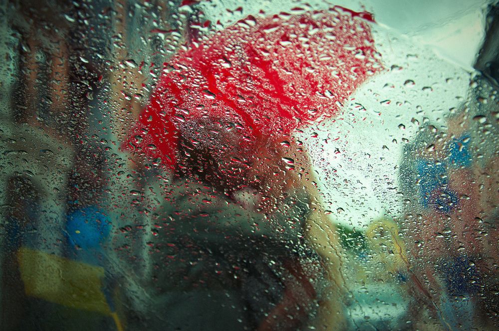 Фотография автора Владимир Щербина