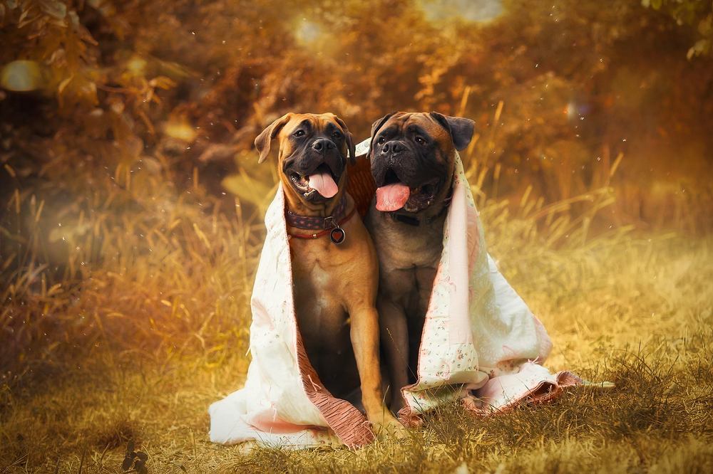 Photograph by Галина Ледок