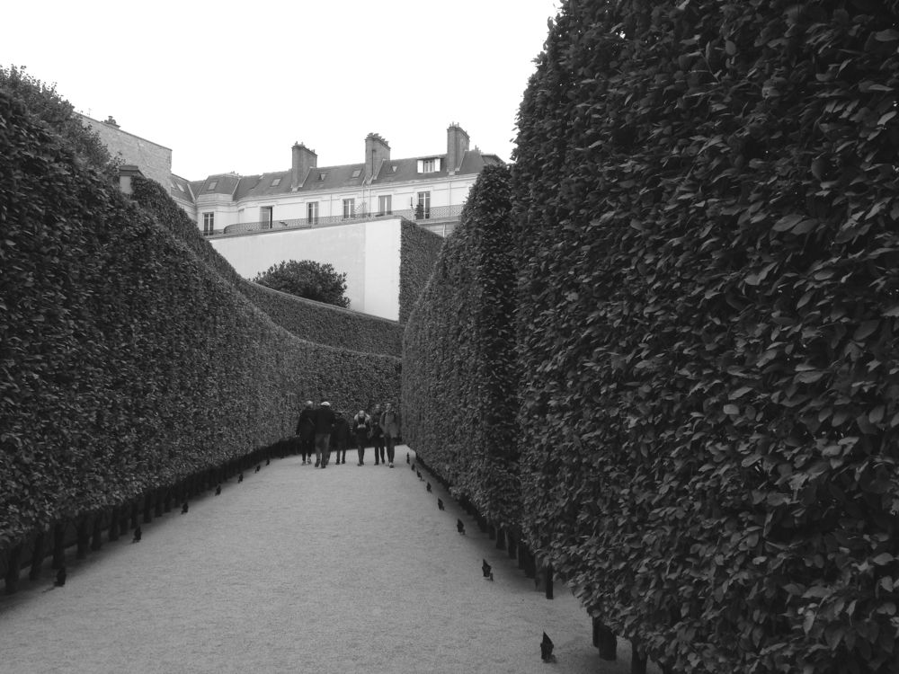 Photograph by Столярова Ольга