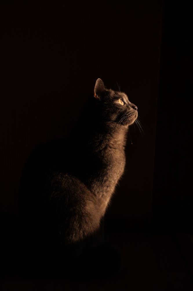 Photograph by Аджибекова Юлия